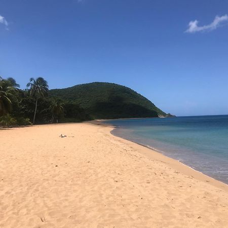 Villa Coco Caraibes Deshaies Exteriér fotografie