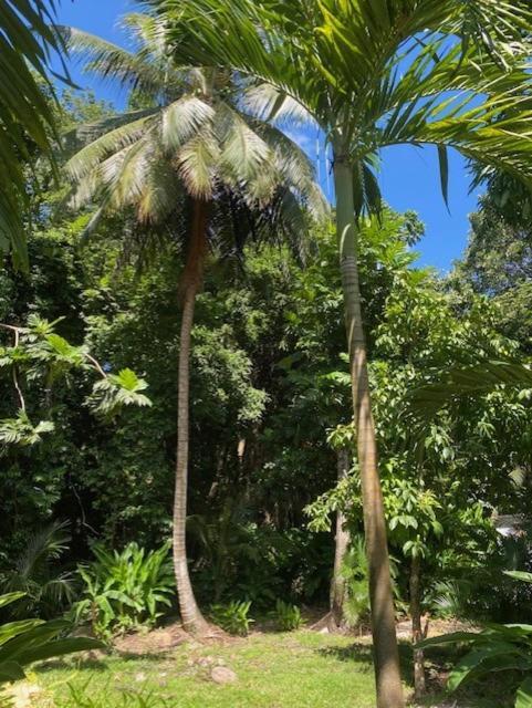 Villa Coco Caraibes Deshaies Exteriér fotografie